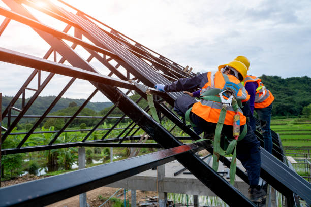 Best Storm Damage Roof Repair  in Chleston, AR