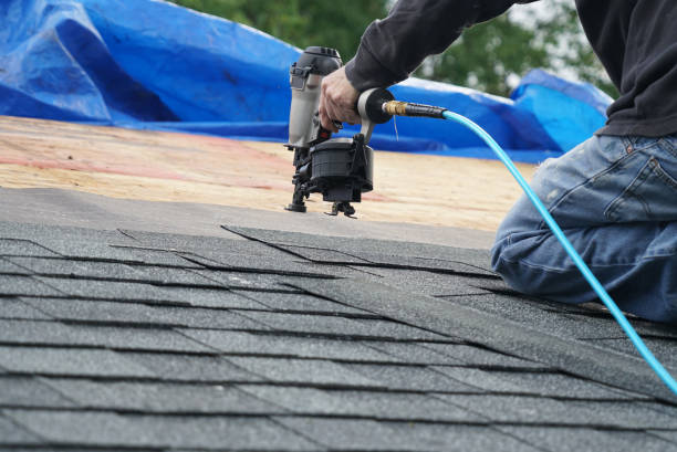 Best Roof Leak Repair  in Chleston, AR